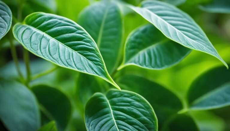 plants with thick waxy leaves