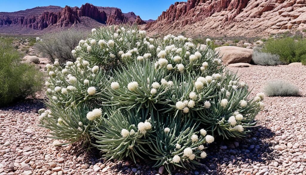 shrubs for alkaline soil