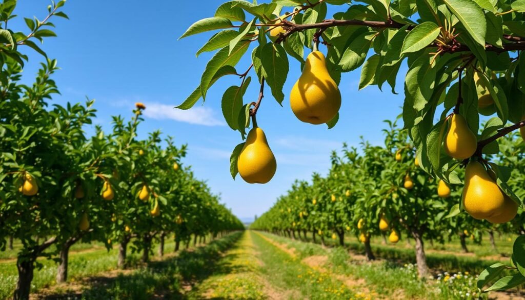 Fruit Trees That Like Alkaline Soil